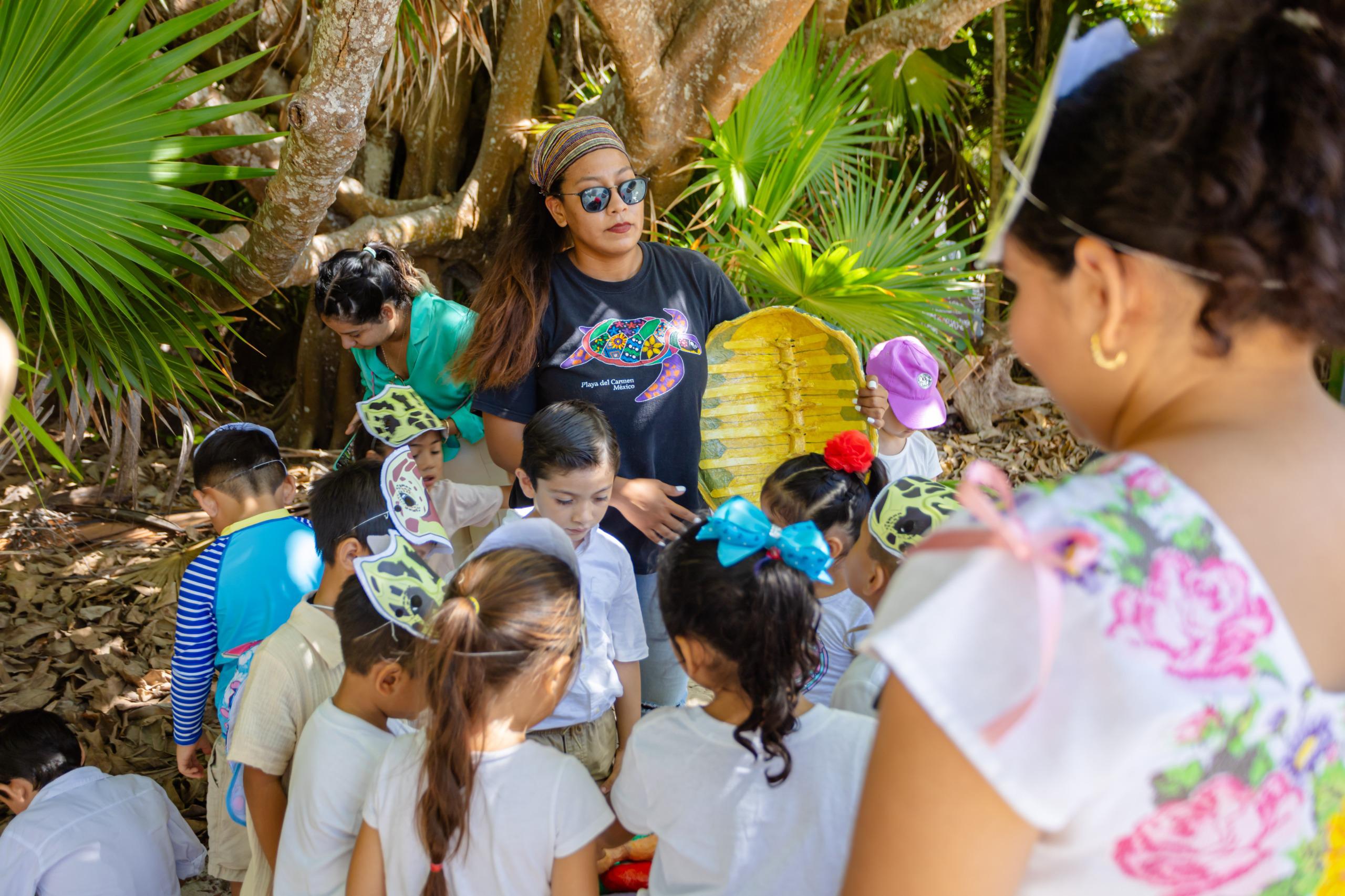 Arranca la temporada de tortugas marinas en Tulum