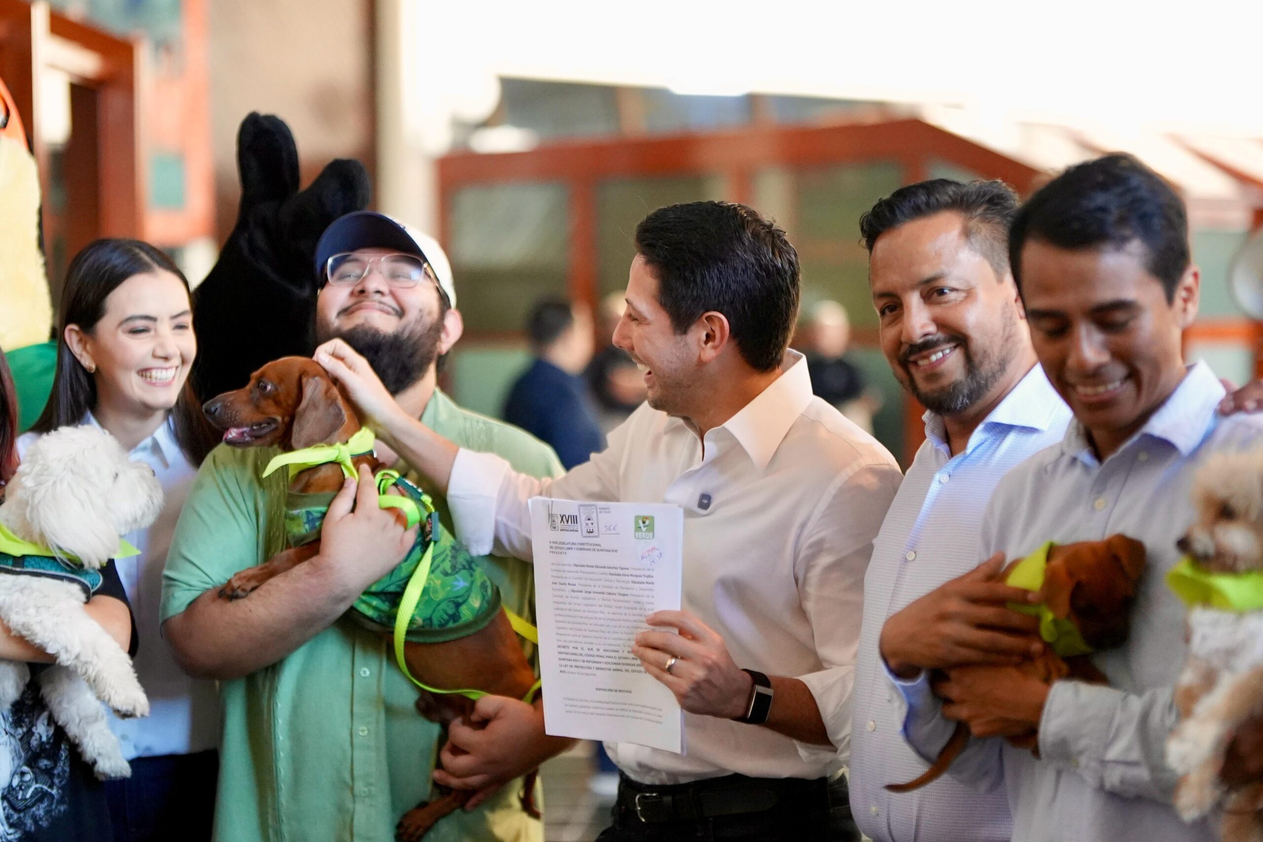 Diputados presentan iniciativa para fortalecer la tenencia responsable animales en Quintana Roo.