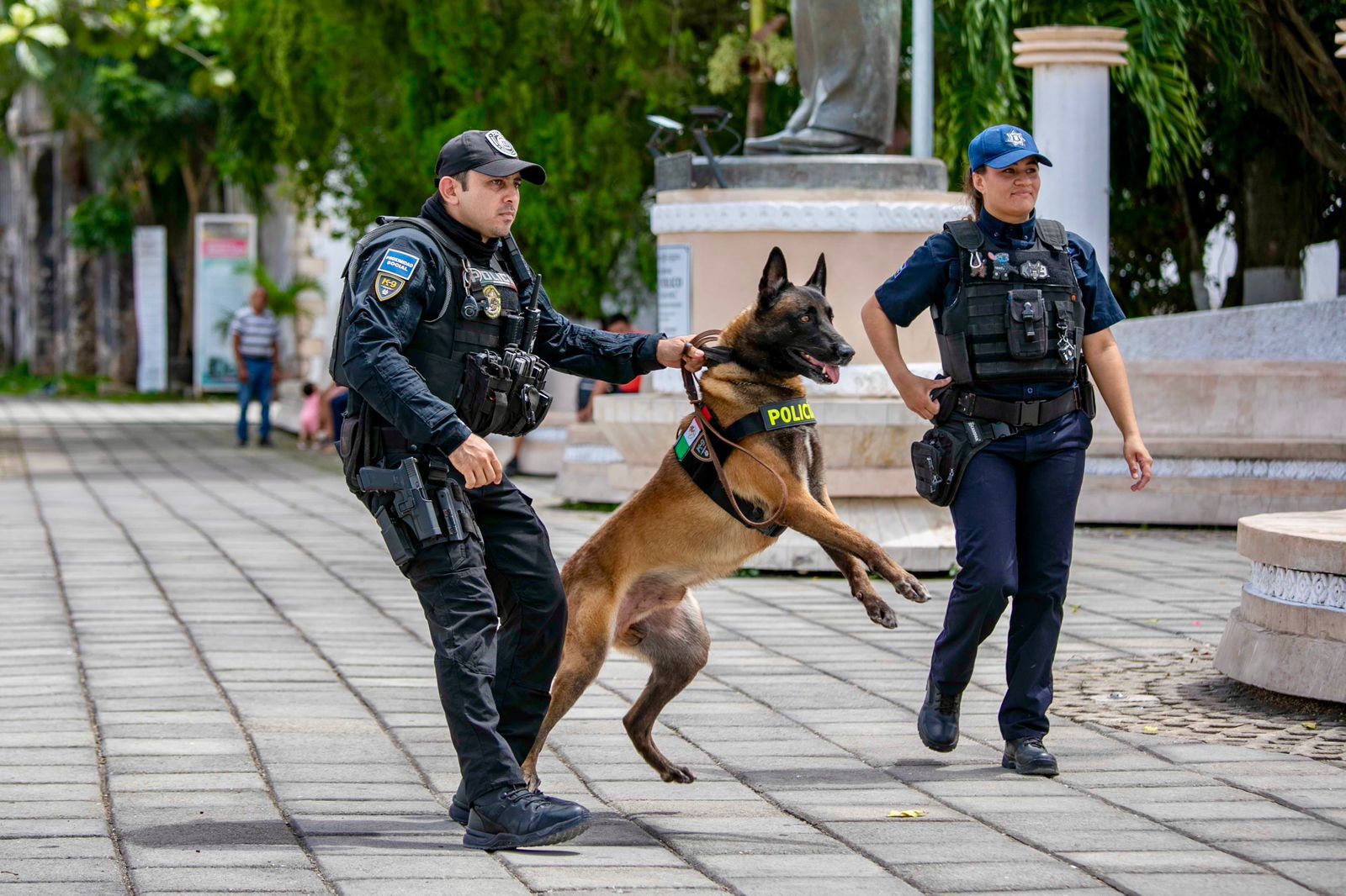 El binomio canino Kamil se une a la Dirección de Seguridad Pública, reforzando operativos y vigilancia en Felipe Carrillo Puerto.
