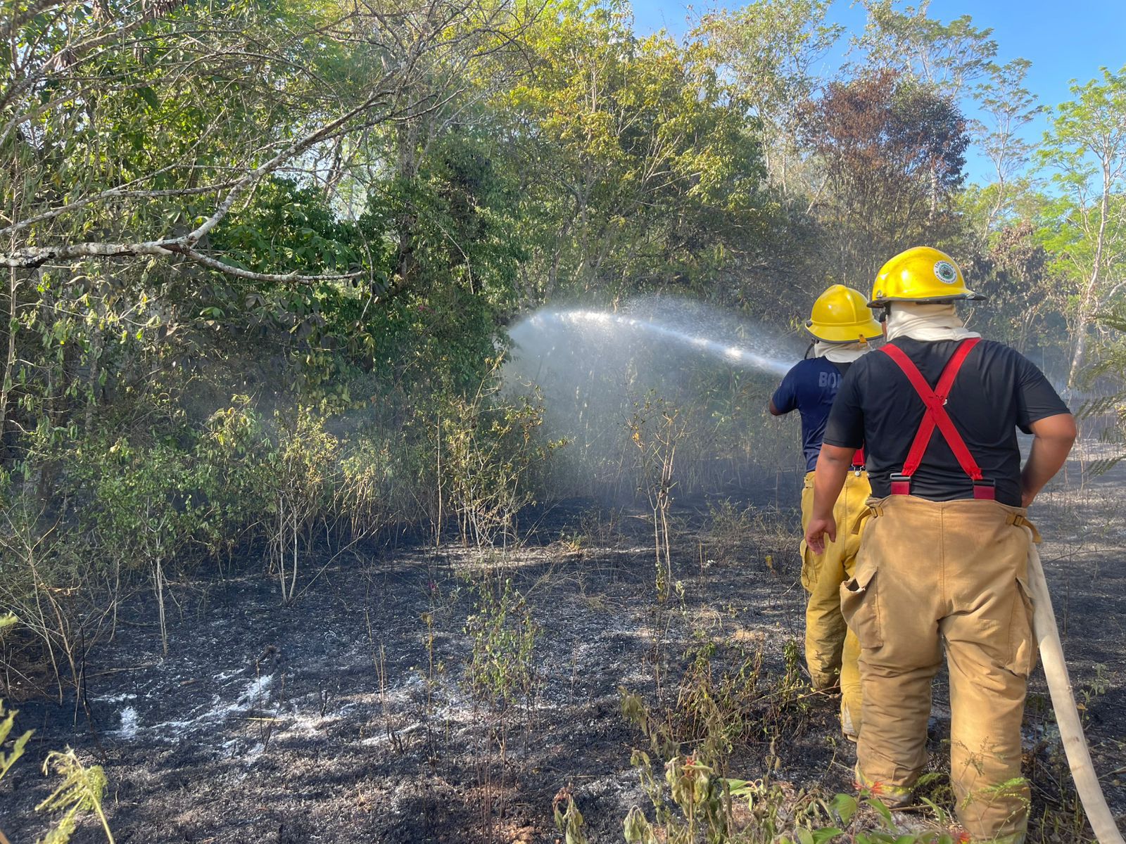 Bomberos Carrillo Puerto sofocaron incendios de maleza y un siniestro en una vivienda de Felipe Carrillo Puerto.