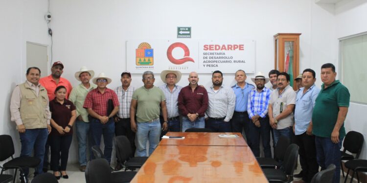 Productores y trabajadores del sector cañero reciben apoyos para combustible y seguridad social en la región sur de Quintana Roo.