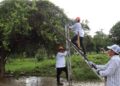 Personal municipal realiza las primeras acciones del programa de saneamiento del arbolado urbano para proteger los árboles en Felipe Carrillo Puerto.