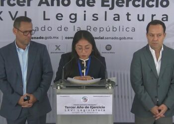 La regidora Lidia Rojas junto a senadores de Movimiento Ciudadano durante la conferencia de prensa en el Senado sobre los apagones constantes.