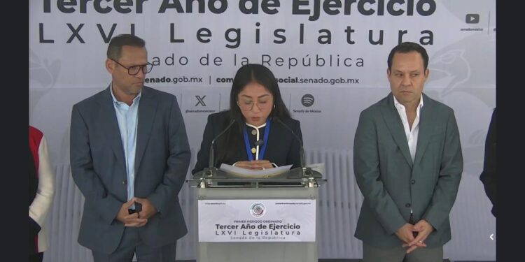 La regidora Lidia Rojas junto a senadores de Movimiento Ciudadano durante la conferencia de prensa en el Senado sobre los apagones constantes.